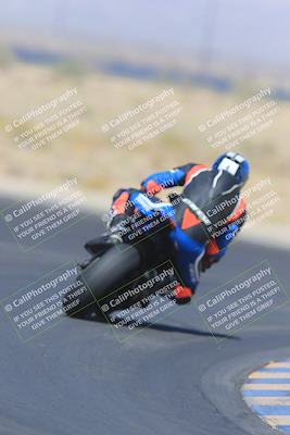 media/May-13-2023-SoCal Trackdays (Sat) [[8a473a8fd1]]/Turn 11 Backside (945am)/